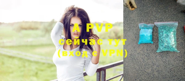 прущие крисы Зеленокумск