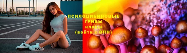 прущие крисы Зеленокумск