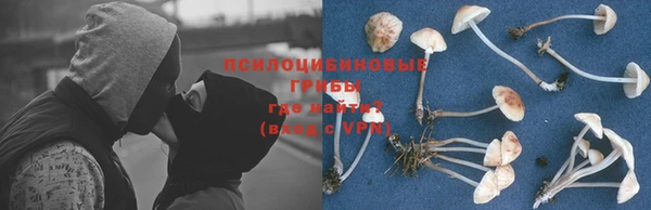 прущие крисы Зеленокумск
