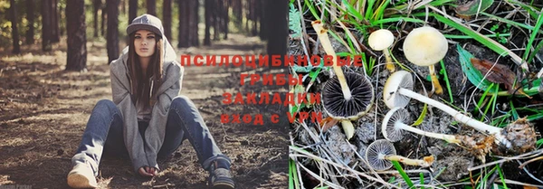 альфа пвп Зеленодольск