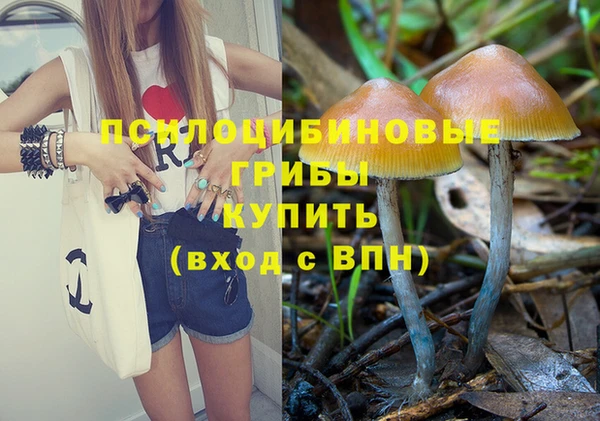 прущие крисы Зеленокумск