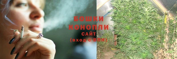 прущие крисы Зеленокумск