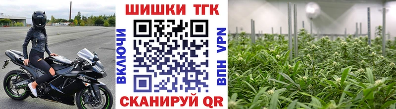 Конопля SATIVA & INDICA  Купить закладки  Котовск 